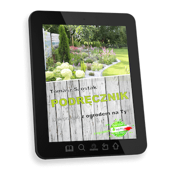 szklarnia w ogrodzie 10