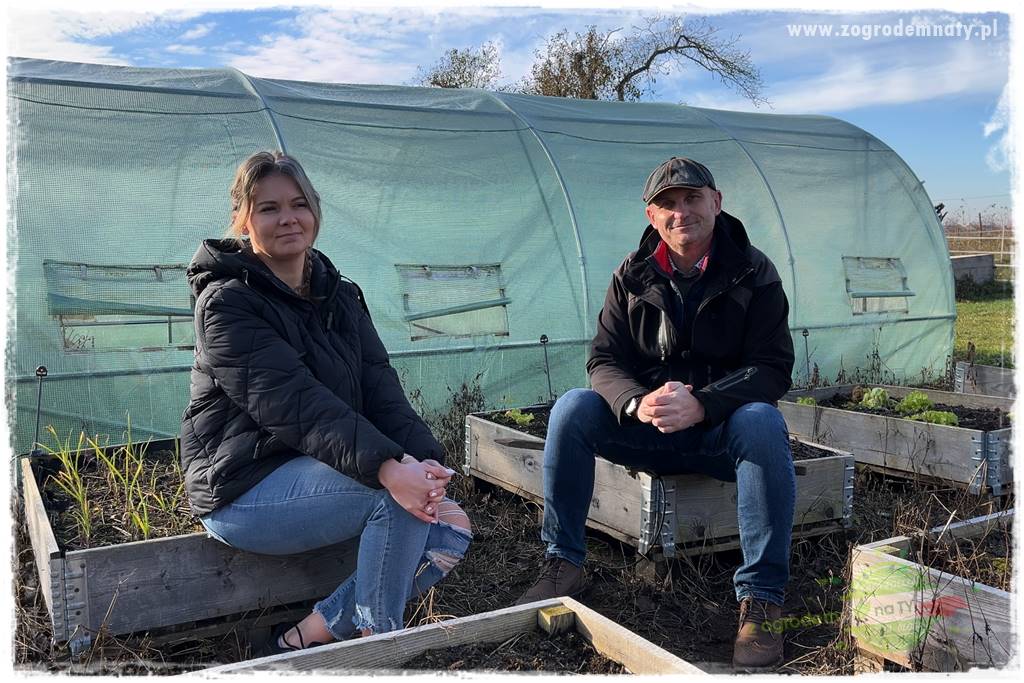 szklarnia w ogrodzie 100
