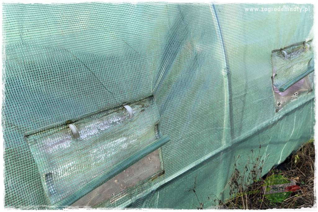 szklarnia w ogrodzie 112