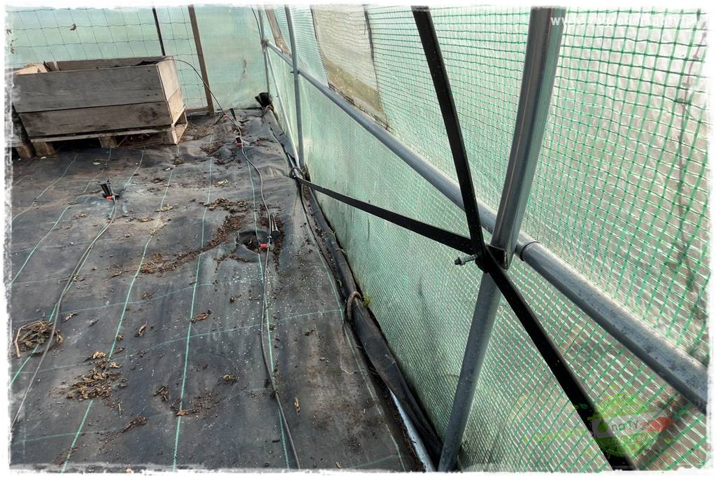 szklarnia w ogrodzie 113