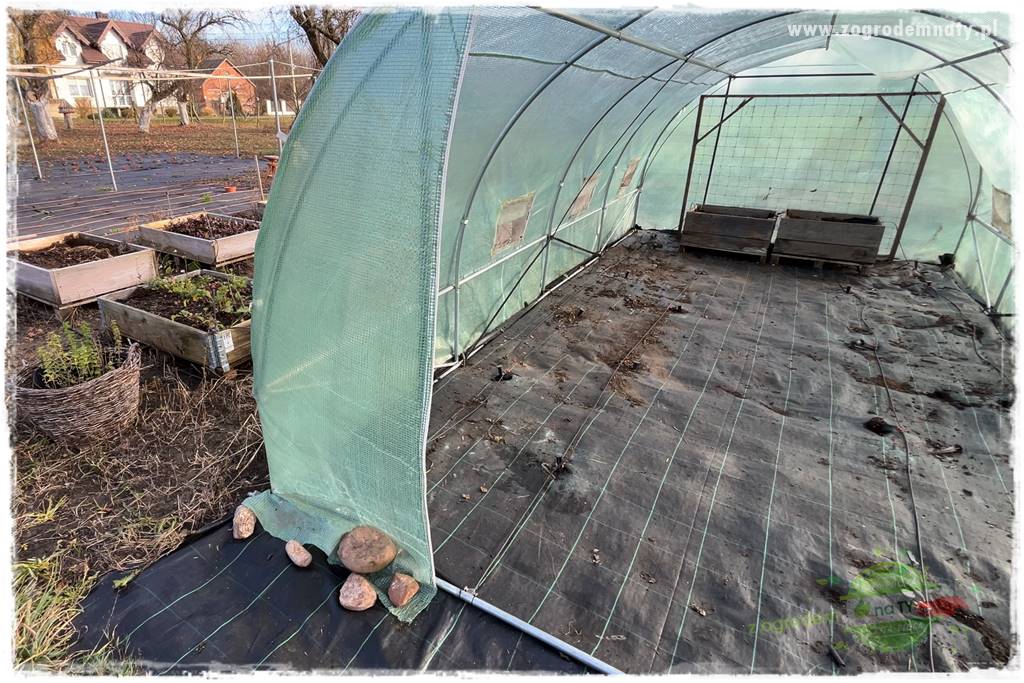 szklarnia w ogrodzie 115a