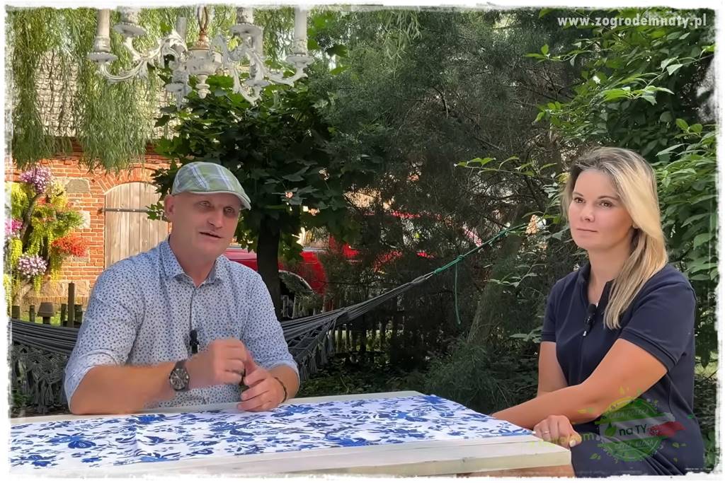 szklarnia w ogrodzie 2