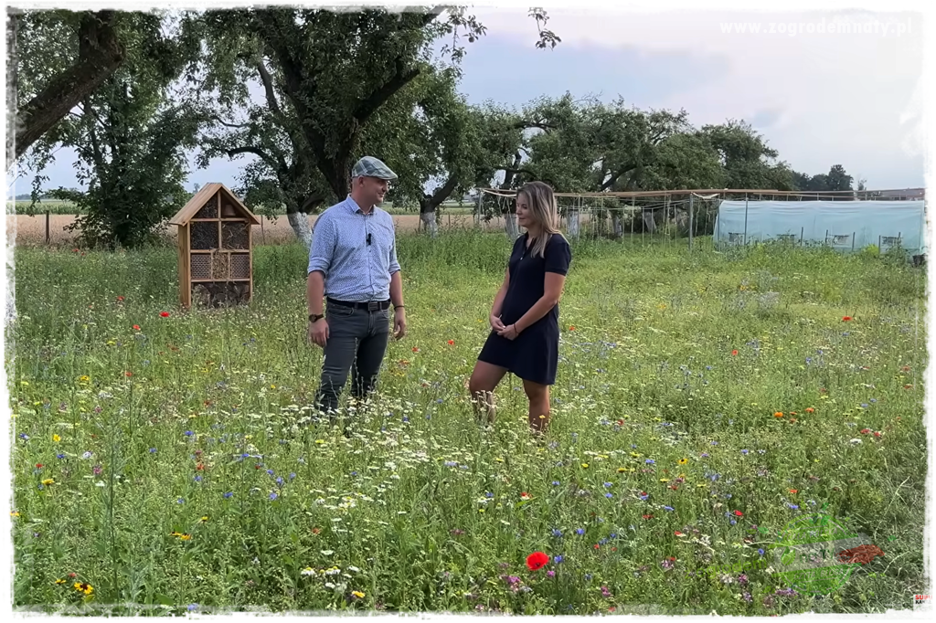 szklarnia w ogrodzie 2001