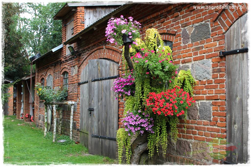 szklarnia w ogrodzie 5