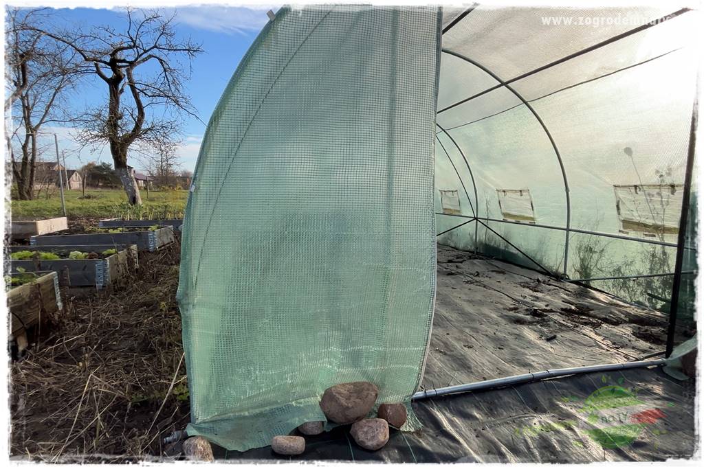 szklarnia w ogrodzie 8