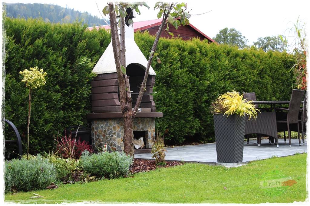 Hakonechloa smukła 66