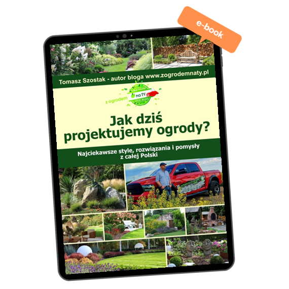 jak dziś projektujemy ogrody 1