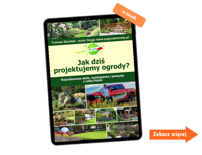 jak dzis projektujemy ogrody 1a