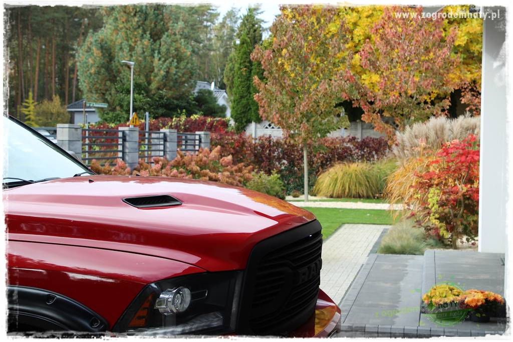 jesienny ogród 13 jesienny ogród 13