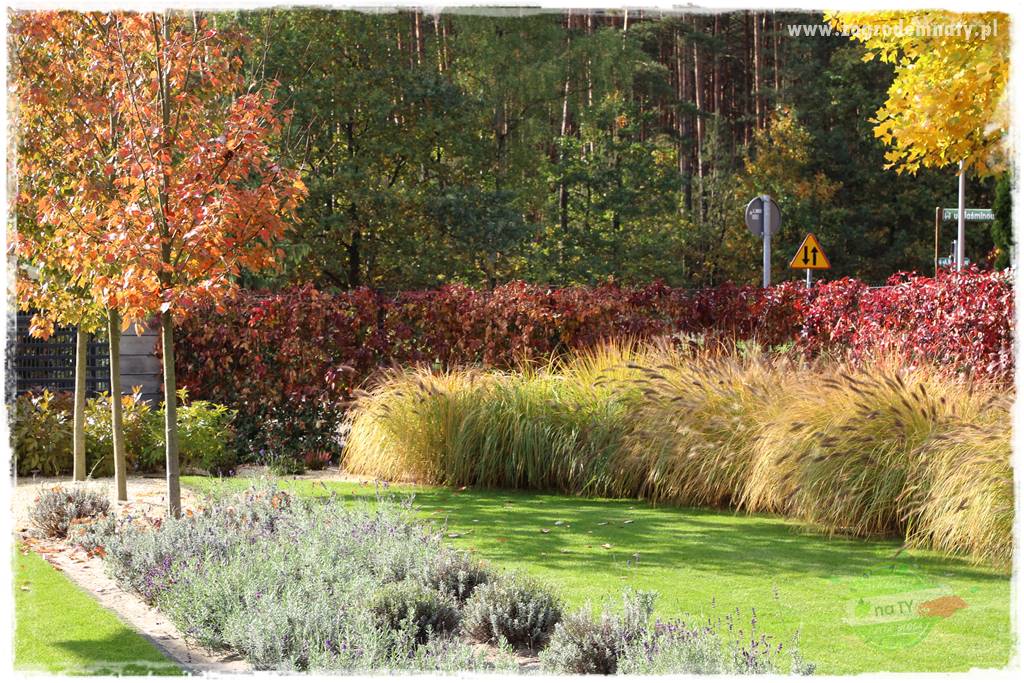 jesienny ogród 14