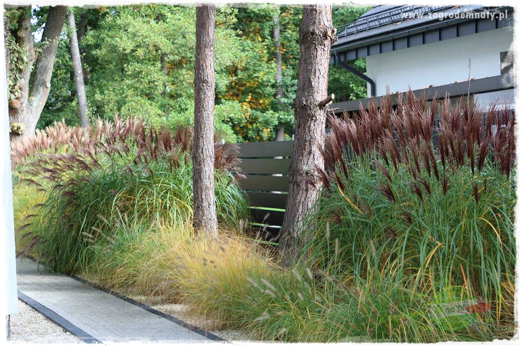 jesienny ogród 25 jesienny ogród 25