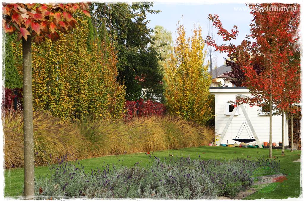 jesienny ogród 3 jesienny ogród 3
