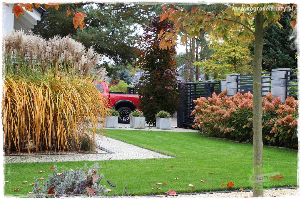 jesienny ogród 32 jesienny ogród 32