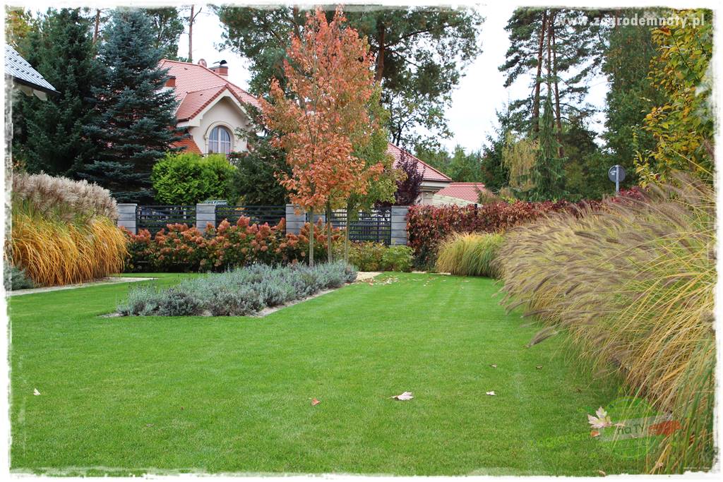 jesienny ogród 33 jesienny ogród 33