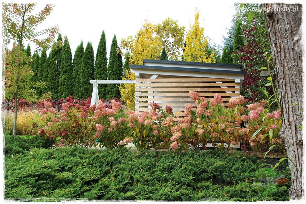 jesienny ogród 401 jesienny ogród 401