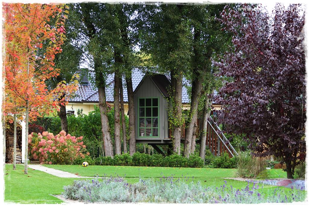 jesienny ogród 403 jesienny ogród 403