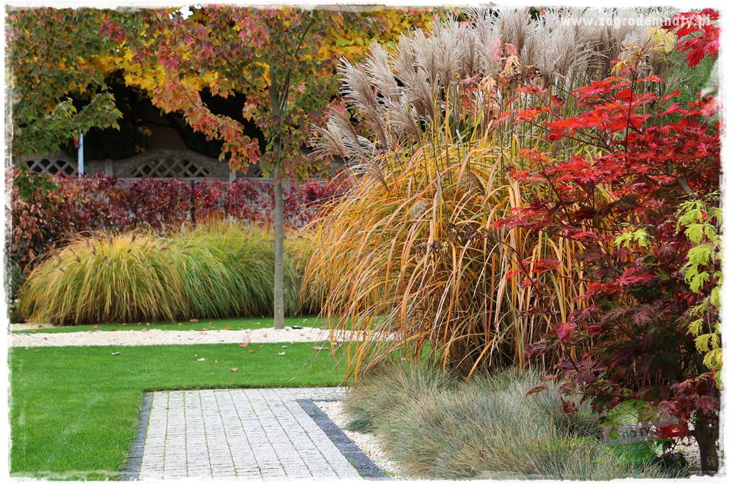 jesienny ogród 404 jesienny ogród 404