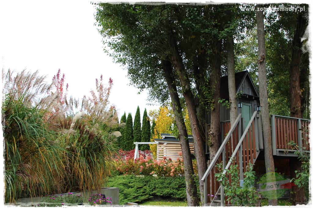 jesienny ogród 41 jesienny ogród 41