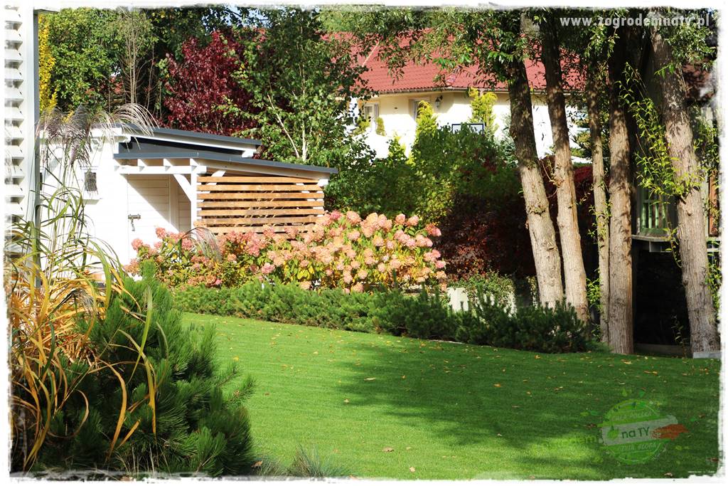 jesienny ogród 411 jesienny ogród 411