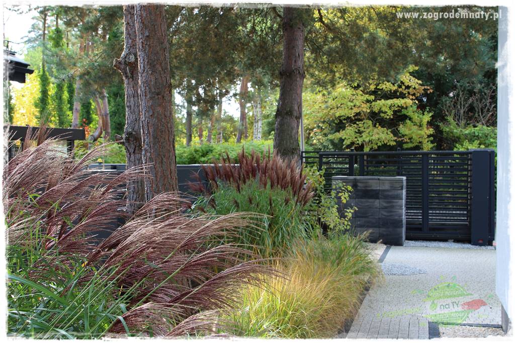 jesienny ogród 416 jesienny ogród 416