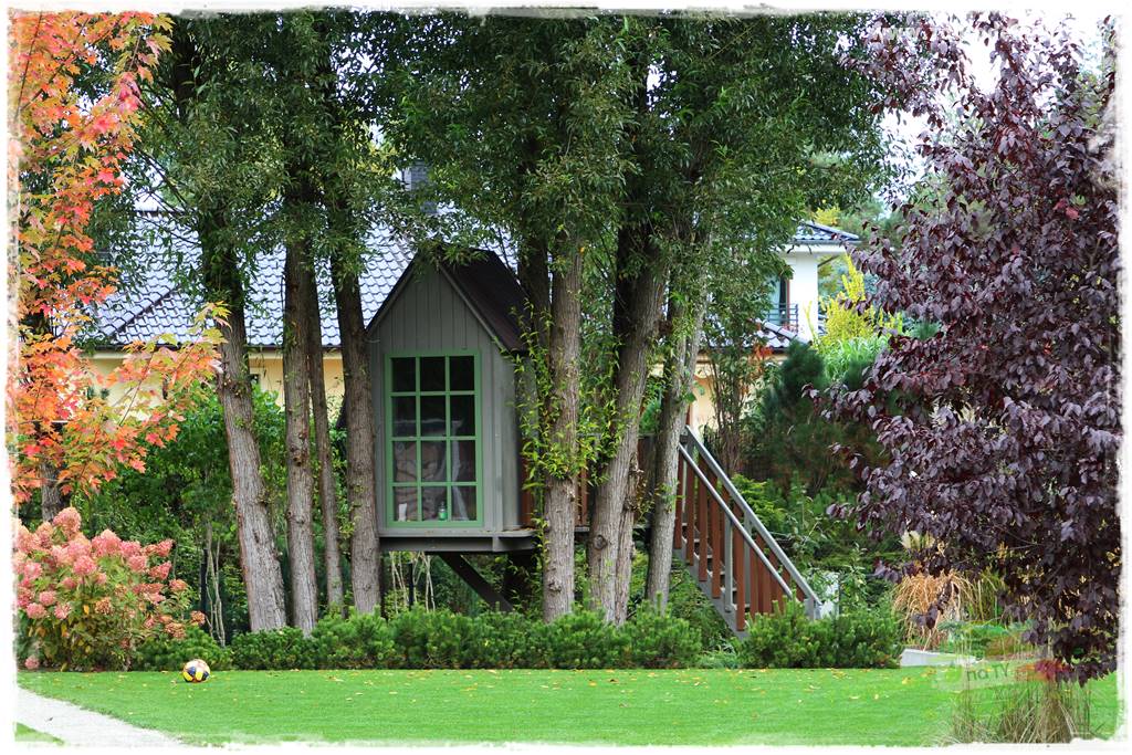 jesienny ogród 42 jesienny ogród 42