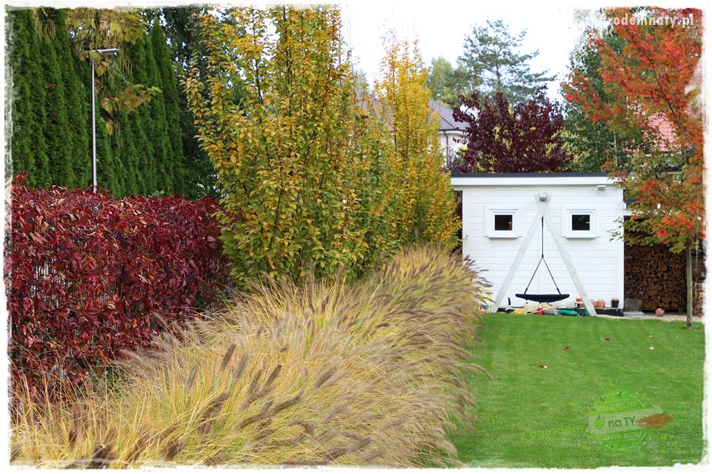 jesienny ogród 43 jesienny ogród 43