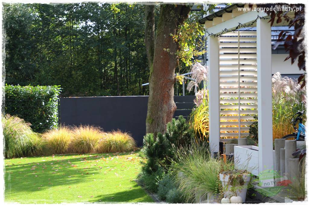 jesienny ogród 46 jesienny ogród 46