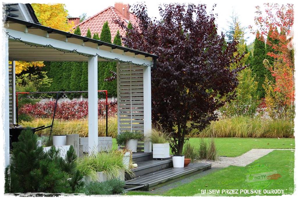 jesienny ogród 48 jesienny ogród 48