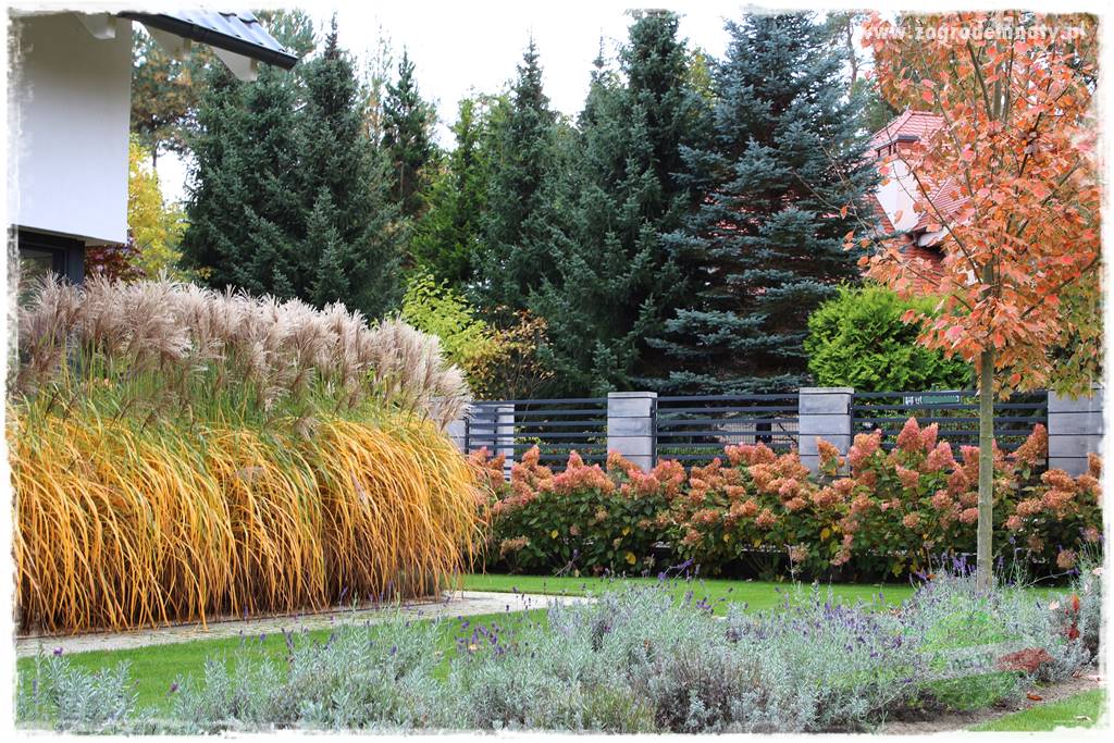 jesienny ogród 5 jesienny ogród 5