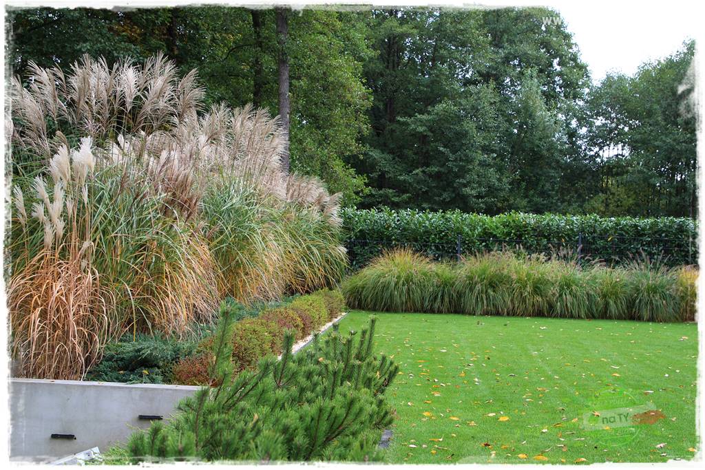 jesienny ogród 51 jesienny ogród 51