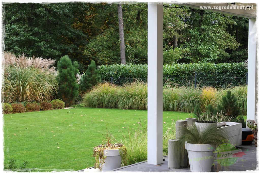 jesienny ogród 52 jesienny ogród 52