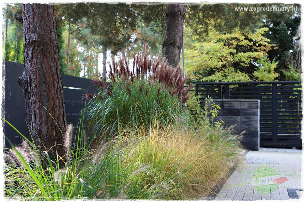 jesienny ogród 53 jesienny ogród 53