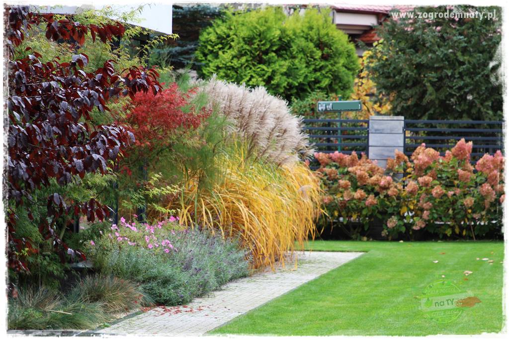 jesienny ogród 54 jesienny ogród 54