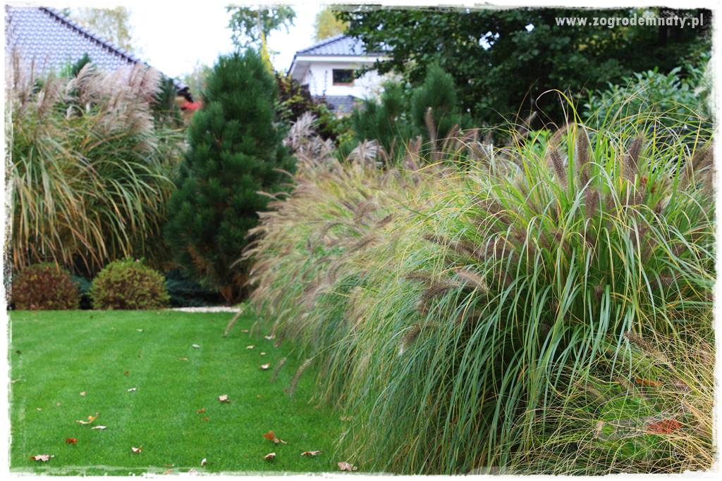 jesienny ogród 55 jesienny ogród 55