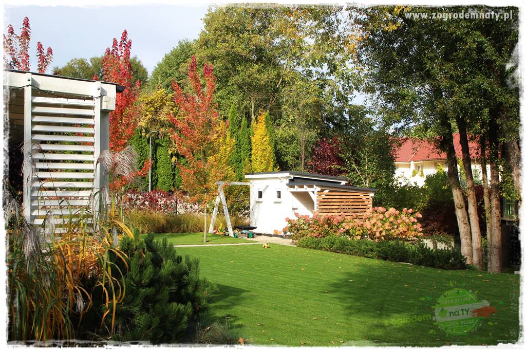 jesienny ogród 8 jesienny ogród 8