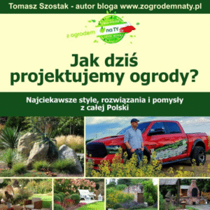 Jak dziś projektujemy ogrody
