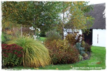 sudeckie siedlisko 1