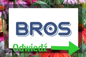 Byliny kwitnące wiosną 100b