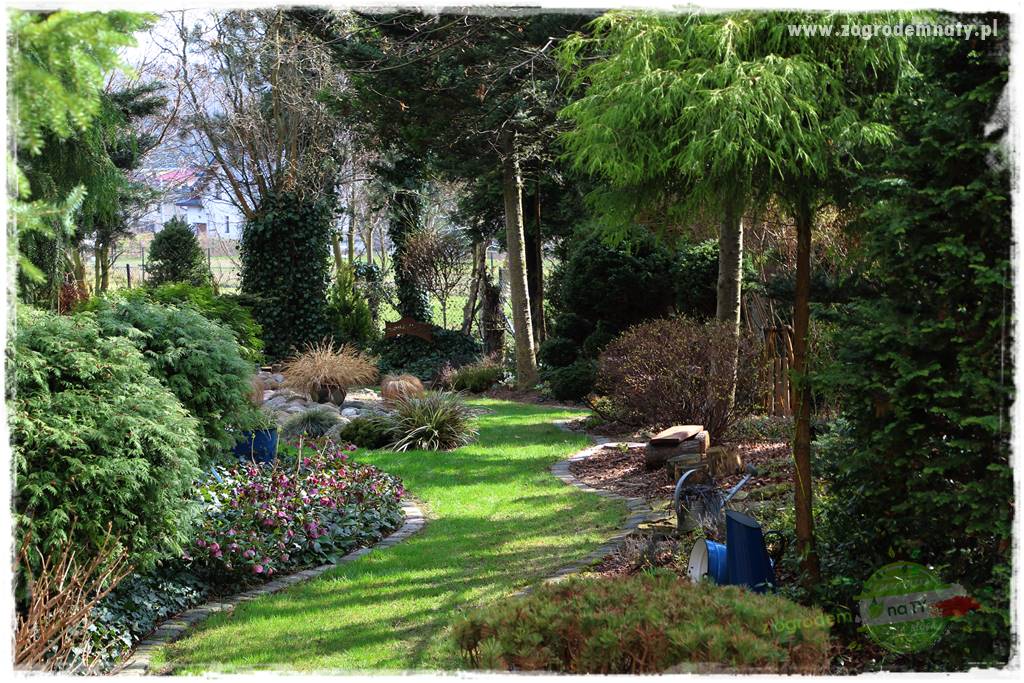 Byliny kwitnące wiosną 48