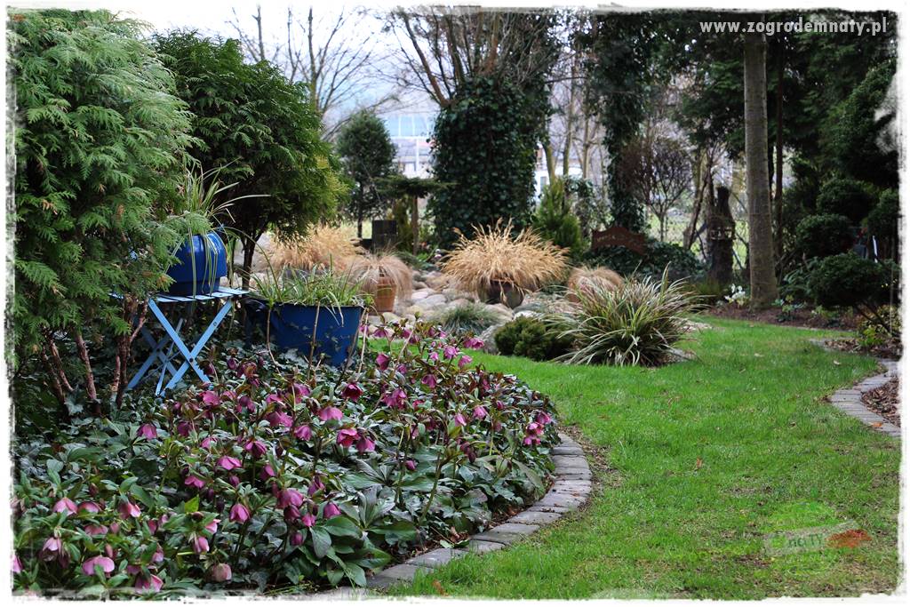 Byliny kwitnące wiosną 49