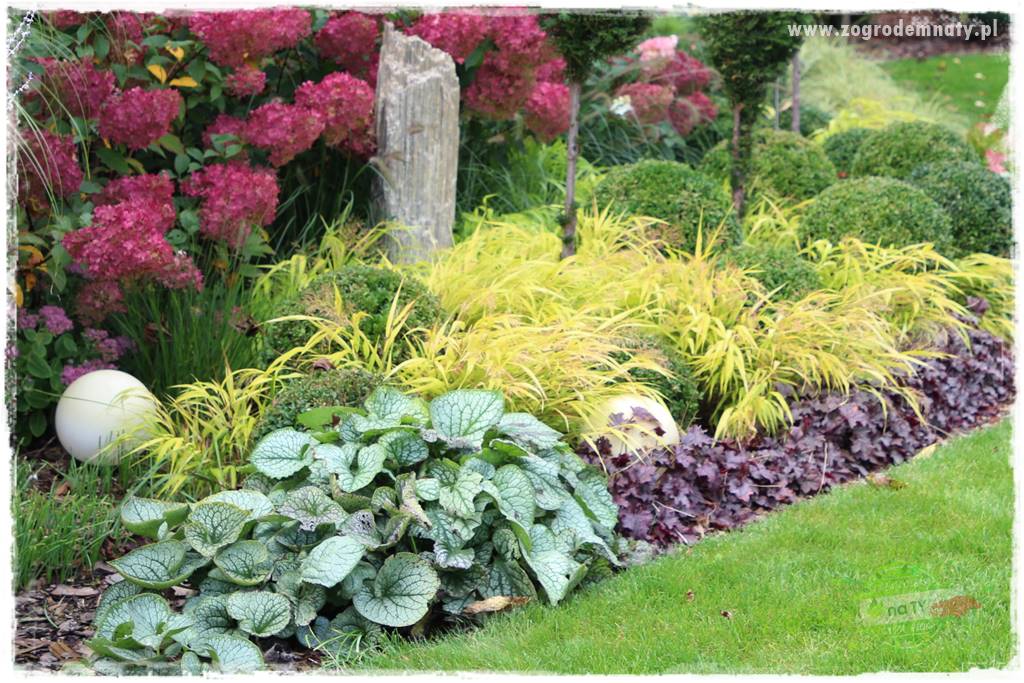 Byliny kwitnące wiosną 60