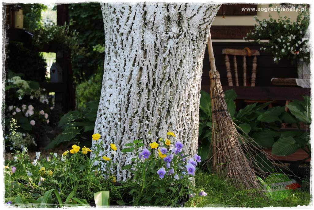 Byliny kwitnące wiosną 70