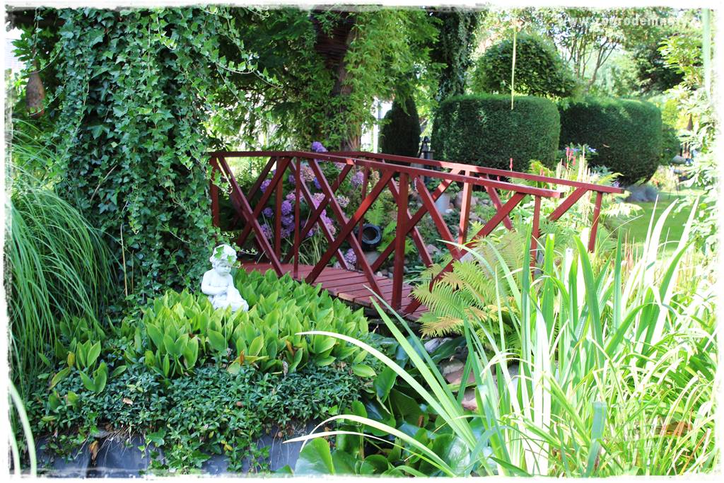 Byliny kwitnące wiosną 79