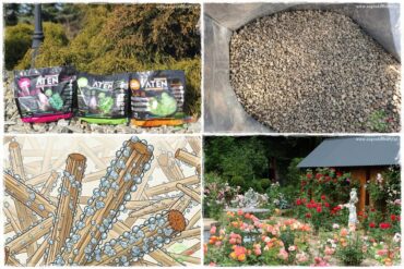 Czym jest glinka attapulgitowa 0