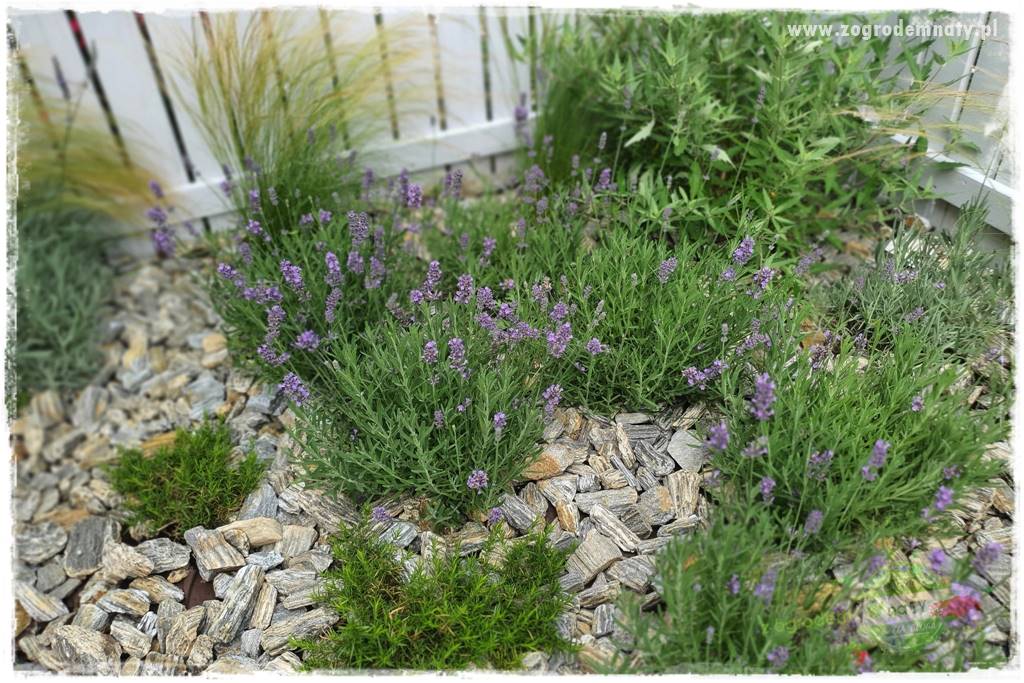 Ile kamienia ozdobnego na m2 20