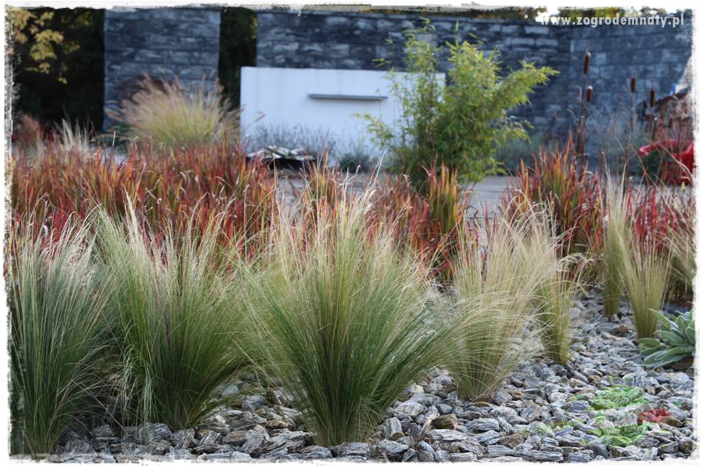 Ile kamienia ozdobnego na m2 21