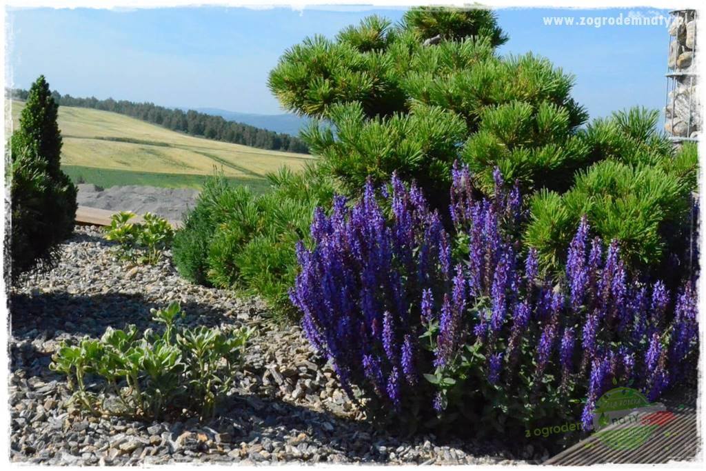 Ile kamienia ozdobnego na m2 24