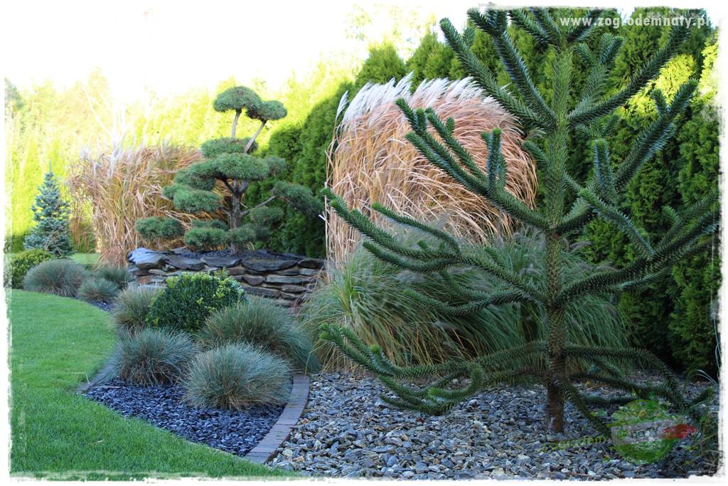 Ile kamienia ozdobnego na m2 28