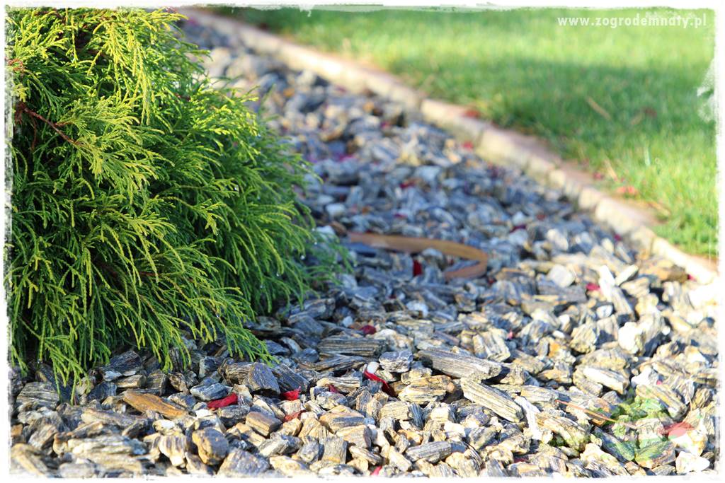 Ściółkowanie zarośniętej rabaty 12