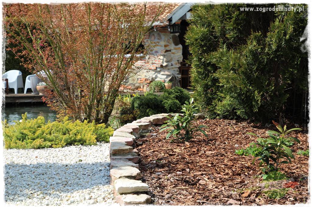 Ściółkowanie zarośniętej rabaty 13